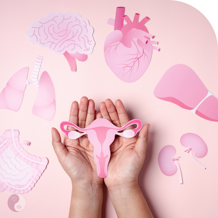 menschliche-organe-symbole-haende-halten-gebaehrmutter Hände halten eine Gebärmutter aus Papier, umgeben von Symbolen menschlicher Organe