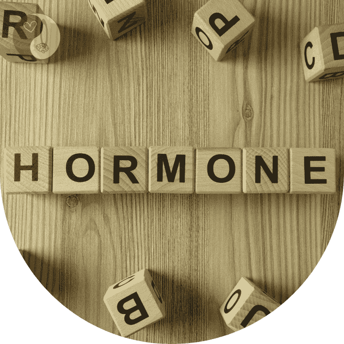 DHEA regulation