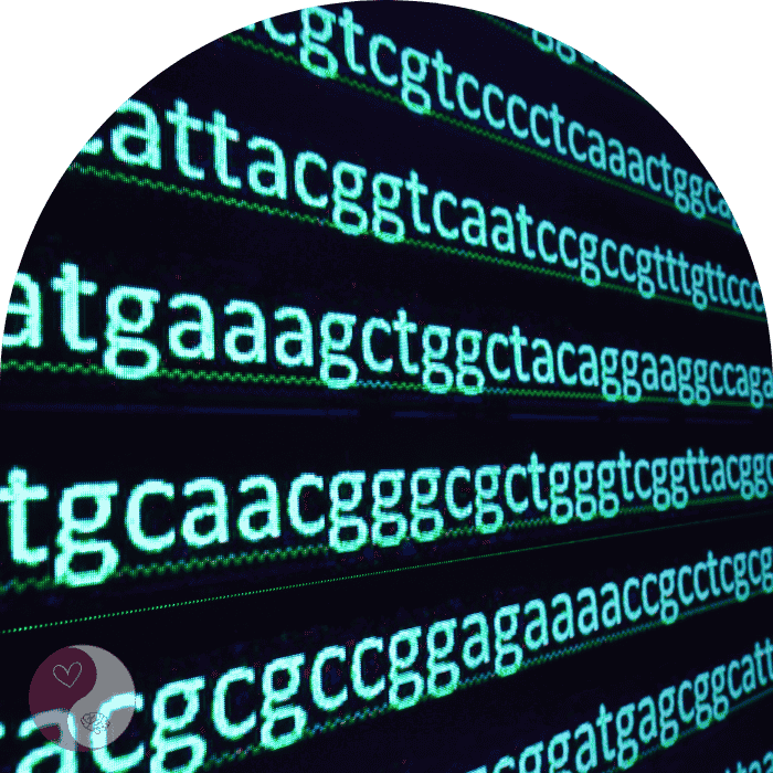 Epigenetik im Alltag